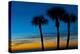 USA, Florida, Sarasota, Crescent Beach, Siesta Key. sunset and palm trees-Bernard Friel-Premier Image Canvas