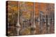 USA, George Smith State Park, Georgia. Fall cypress trees with wood duck box.-Joanne Wells-Premier Image Canvas