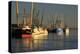 USA, Georgia, Darien. Shrimp boats docked at Darien.-Joanne Wells-Premier Image Canvas