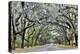 USA, Georgia, Savannah. drive at entrance to plantation-Hollice Looney-Premier Image Canvas