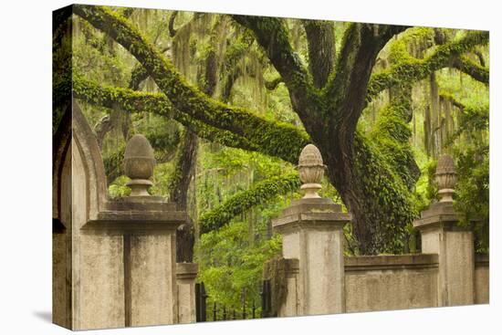 USA, Georgia, Savannah, Entrance to Wormsloe Plantation.-Joanne Wells-Premier Image Canvas