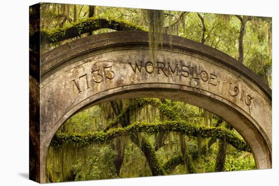 USA, Georgia, Savannah, Entrance to Wormsloe Plantation.-Joanne Wells-Premier Image Canvas