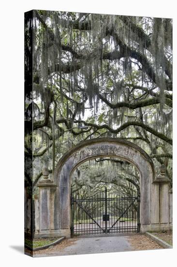 USA, Georgia, Savannah. Plantation gate at entrance-Hollice Looney-Premier Image Canvas