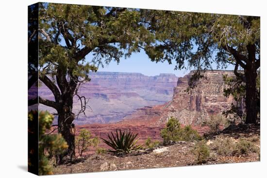 USA, Grand Canyon National Park, South Rim-Catharina Lux-Premier Image Canvas