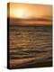 USA, Hawaii, Kauai, sunset-Savanah Plank-Stretched Canvas