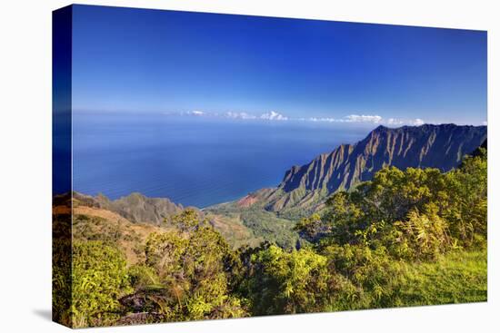 USA, Hawaii, Maui, Canyon Overlook-Terry Eggers-Premier Image Canvas