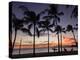 USA, Hawaii, Oahu, Honolulu, Waikiki Beach, Kapiolani Park-Michele Falzone-Premier Image Canvas