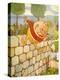 USA Humpty Dumpty Book Plate-null-Premier Image Canvas