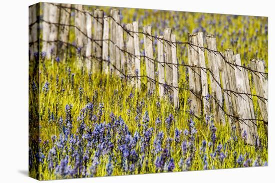 USA, Idaho, Fairfield, Camas Prairie, Creek and fence in the Camas Prairie-Terry Eggers-Premier Image Canvas