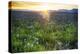 USA, Idaho, Fairfield, Camas Prairie, Sunset in the Camas Prairie-Terry Eggers-Premier Image Canvas