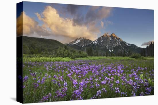 USA, Idaho. McGown Peak Sawtooth Mountains.-Alan Majchrowicz-Premier Image Canvas