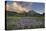 USA, Idaho. McGown Peak Sawtooth Mountains.-Alan Majchrowicz-Premier Image Canvas