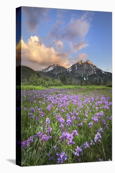 USA, Idaho. McGown Peak Sawtooth Mountains.-Alan Majchrowicz-Premier Image Canvas