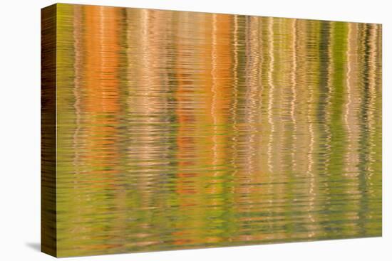 USA, Idaho. Reflections on Redfish Lake-Don Paulson-Premier Image Canvas