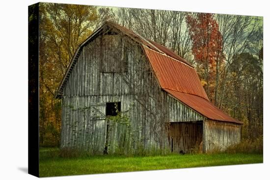 USA, Indiana. Rural Landscape, Vine Covered Barn with Red Roof-Rona Schwarz-Premier Image Canvas