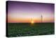 USA, Indiana. Soybean Field and Wind Farm at Sundown-Rona Schwarz-Premier Image Canvas