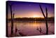 USA, Indiana, the Celery Bog Wetlands in Winter at Sunset-Rona Schwarz-Premier Image Canvas