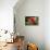 USA, Kansas, Red Hibiscus.-Michael Scheufler-Premier Image Canvas displayed on a wall