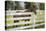 USA, Kentucky, Lexington. Horse at Fence-Jaynes Gallery-Premier Image Canvas