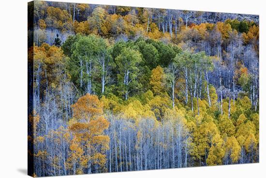 USA, Lee Vining, California. Conway Pass, Mono County.-Joe Restuccia III-Premier Image Canvas