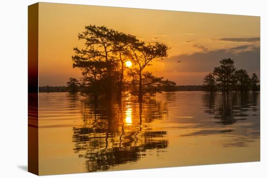 USA, Louisiana, Atchafalaya National Wildlife Refuge. Sunrise on swamp.-Jaynes Gallery-Premier Image Canvas