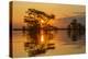 USA, Louisiana, Atchafalaya National Wildlife Refuge. Sunrise on swamp.-Jaynes Gallery-Premier Image Canvas