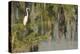 USA, Louisiana, Lake Martin. Foggy swamp sunrise with great egret in tree.-Jaynes Gallery-Premier Image Canvas