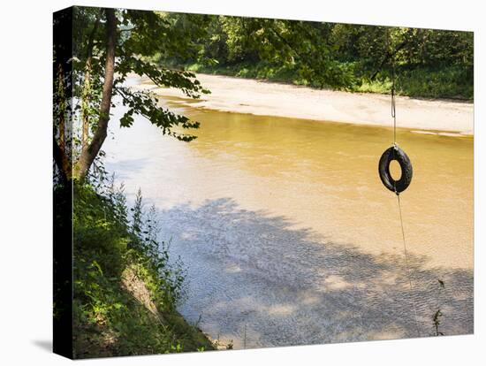 USA, Louisiana. Lower Mississippi River Basin, St. Francisville, road to Cat Island-Alison Jones-Premier Image Canvas