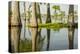 USA, Louisiana, Miller's Lake. Tupelo trees in lake.-Jaynes Gallery-Premier Image Canvas