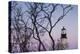 USA, Maine, Portland, Cape Elizabeth, Portland Head Light, lighthouse at dusk-Walter Bibikow-Premier Image Canvas