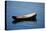 USA, Maine, Small Row Boat at Bass Harbor-Joanne Wells-Premier Image Canvas