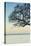 USA, Massachusetts, Cape Ann, Rockport, tree over Front Beach at dusk-Walter Bibikow-Premier Image Canvas