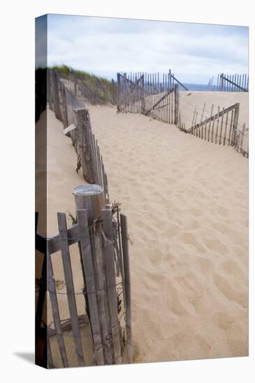 USA, Massachusetts. Dunes and path leading to a Cape Cod beach.-Anna Miller-Premier Image Canvas