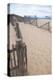 USA, Massachusetts. Dunes and path leading to a Cape Cod beach.-Anna Miller-Premier Image Canvas