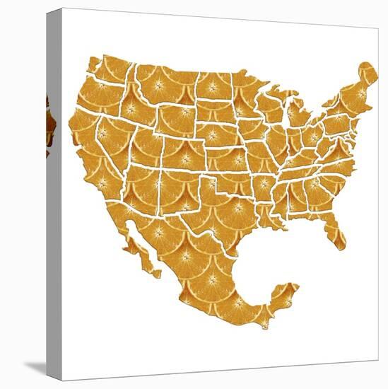 USA-Mexico Diet, Conceptual Artwork-Victor Habbick-Premier Image Canvas
