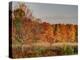 USA, Michigan, Upper Peninsula. Fall Colors in Hiawatha NF-Julie Eggers-Premier Image Canvas