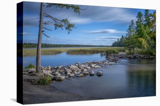 USA, Minnesota, Itasca State Park-Peter Hawkins-Premier Image Canvas