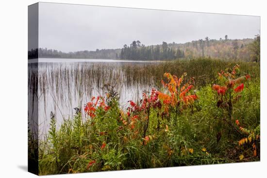 USA, Minnesota, Itasca State Park-Peter Hawkins-Premier Image Canvas