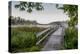 USA, Minnesota, Itasca State Park-Peter Hawkins-Premier Image Canvas