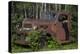 USA, Minnesota, Sandstone, Bear Cub and Old Truck-Hollice Looney-Premier Image Canvas