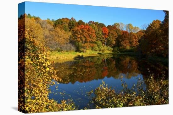 USA, Minnesota, Sunfish Lake, Fall Color Reflected in Pond-Bernard Friel-Premier Image Canvas