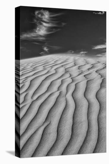 USA, Mojave Trails National Monument, California. Black and white image of windblown sand dune and -Judith Zimmerman-Premier Image Canvas