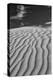 USA, Mojave Trails National Monument, California. Black and white image of windblown sand dune and -Judith Zimmerman-Premier Image Canvas