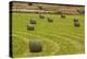 Usa, Montana. Bales, or Rounds, of hay in a field that has just been harvested.-Tom Haseltine-Premier Image Canvas