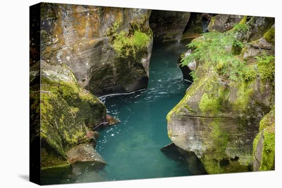 USA, Montana, Glacier National Park. Avalanche Creek-Rona Schwarz-Premier Image Canvas