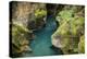 USA, Montana, Glacier National Park. Avalanche Creek-Rona Schwarz-Premier Image Canvas