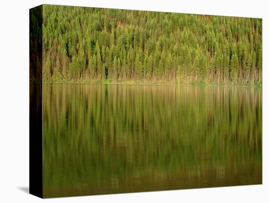 USA, Montana, Glacier National Park, Conifer Forest Reflects in Kintla Lake-John Barger-Premier Image Canvas