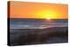 USA, MS, Bay St Louis. Sun Sets Gulf of Mexico. Beach Grasses-Trish Drury-Premier Image Canvas