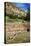 USA, Near Los Alamos, New Mexico, Bandelier National Monument, Big Kiva-null-Premier Image Canvas