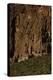 USA, Near Los Alamos, New Mexico, Bandelier National Monument-null-Premier Image Canvas